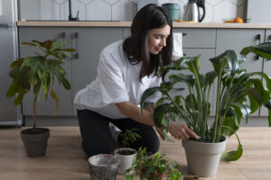 7 Best Indoor Plants for Mental Health & Well-Being